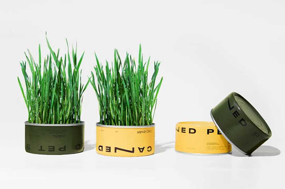 智造綠色活力,賦能高效未來——呂工機械全自動杯裝貓草生產線