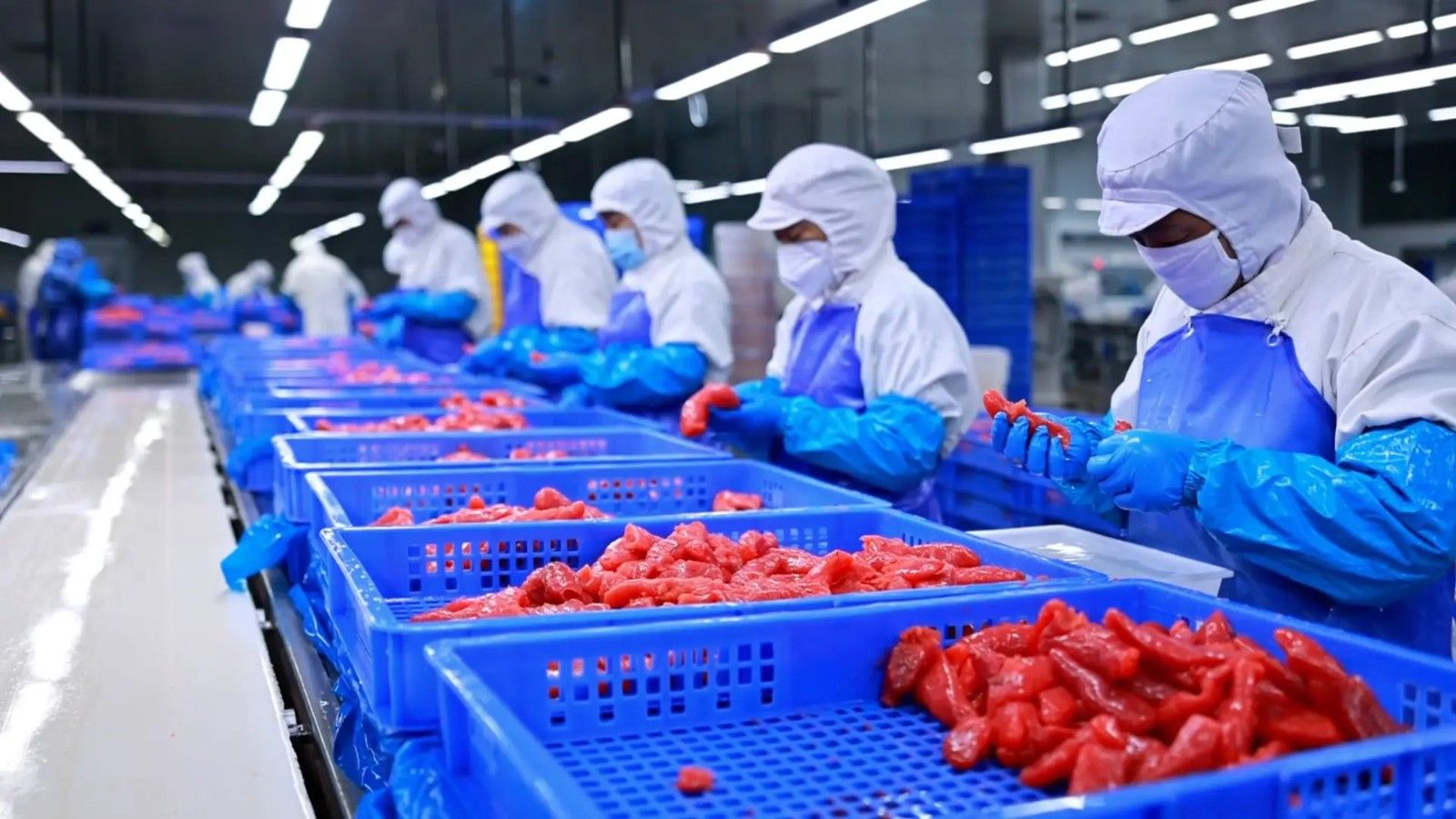 1709006363192741.jpg 001.jpg