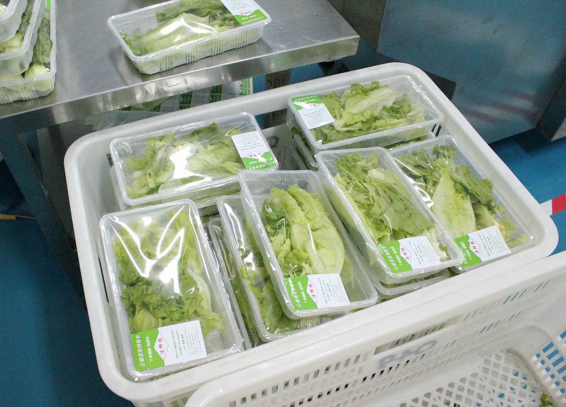 1758100618513792.jpg 新鮮蔬菜02.jpg