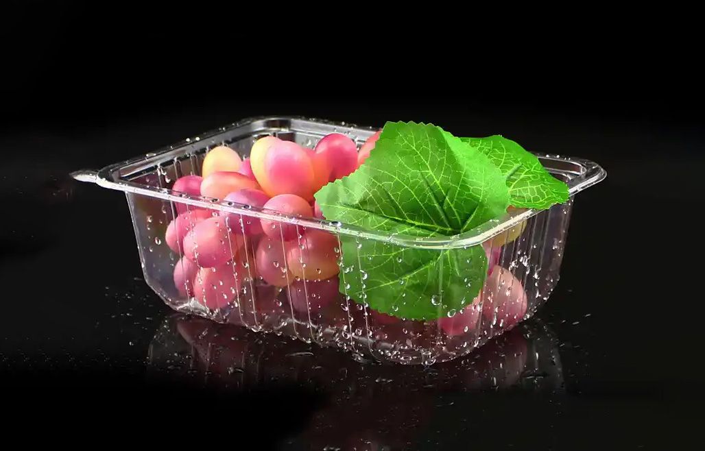 1760939992468947.jpg 氣調包裝02.jpg